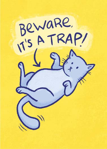 Cat Trap Funny Lee   Send this funny cat birthday greeting card. The perfect birthday card for the cat lover. This funny cat meme on a customizable greeting card with free first-class postage. Check out this cat cartoon of the funniest meme.  No trap here, just a wish for a Happy Birthday!